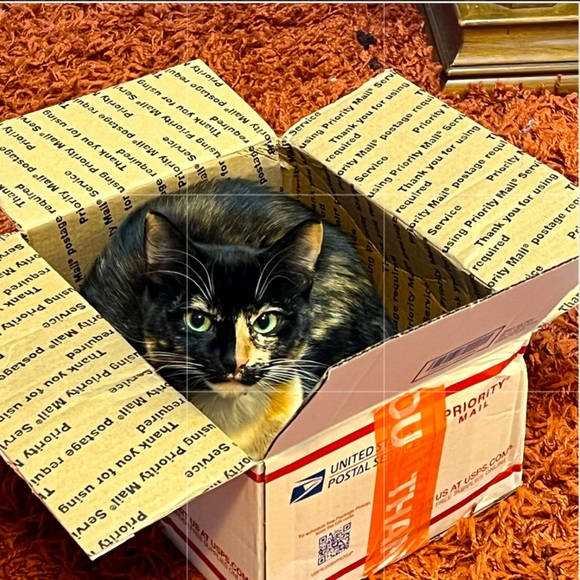 VINTAGE Dooney & Bourke collector’s snake embossed satchel in very rare color!💕 - Picture 15 of 15